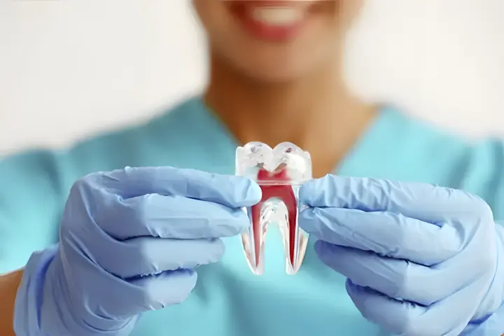 endodontia_720x480